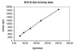 Eurofins DiscoverX ROK /ROCK-I Protein, Active 10 &mu;g | Buy Online | Eurofins DiscoverX | Fisher Scientific